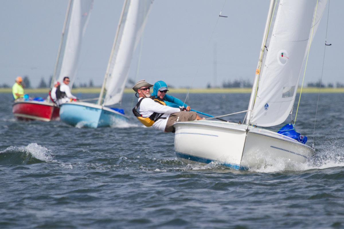 sailboat-racing-crew-hiking-out-ADULT-SAILING-Avalon-Yacht-Club